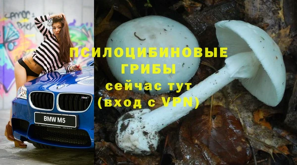дурь Баксан