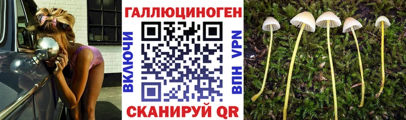 Псилоцибиновые грибы MAGIC MUSHROOMS  Монино 